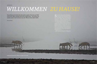 Beispiel >Auskennen<