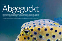 Beispiel >Auskennen<