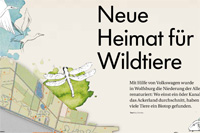 Beispiel >Auskennen<